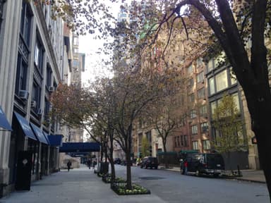 Street Level