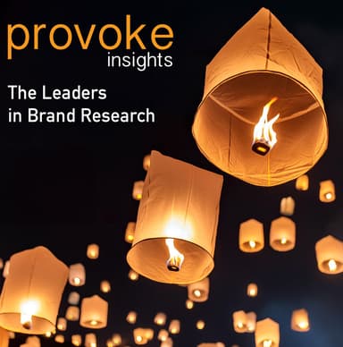 Provoke Insights – gallery image 1