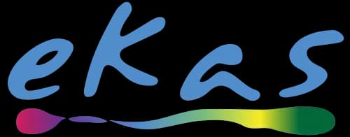 Ekas Marketing Research Services logo