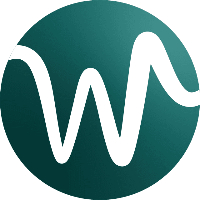 Werk Insight logo